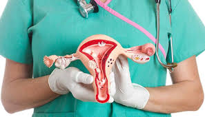 Hysterectomy (Abdominal / Vaginal)